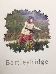 Bartley Ridge (D13), Condominium #157653932